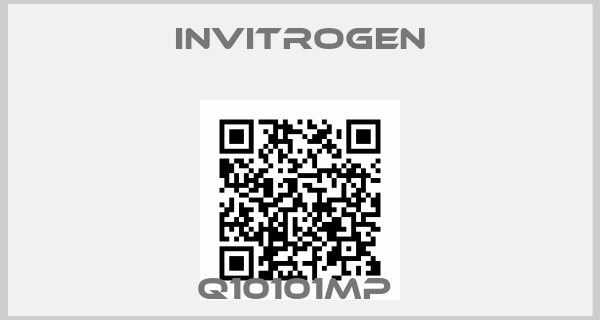 INVITROGEN-Q10101MP 