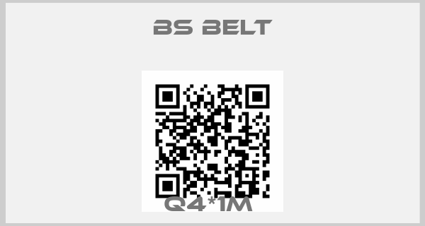 Bs Belt-Q4*1M 