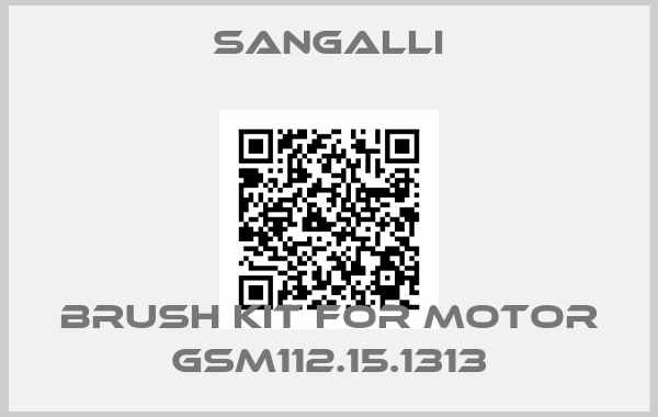 SANGALLI-brush kit for motor GSM112.15.1313