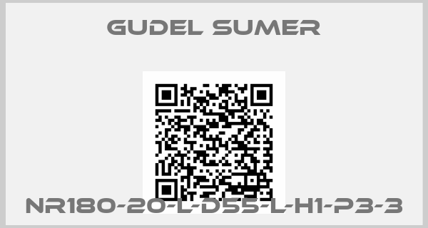 GUDEL SUMER-NR180-20-L-D55-L-H1-P3-3