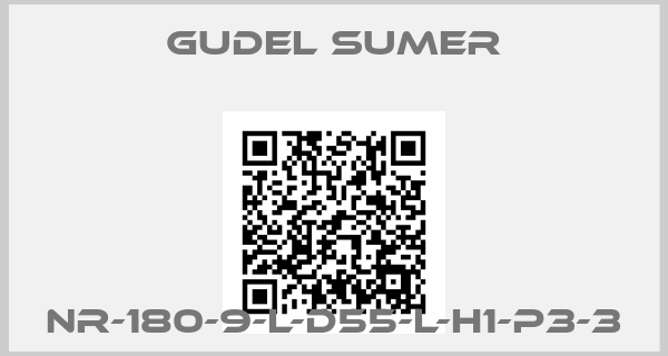 GUDEL SUMER-NR-180-9-L-D55-L-H1-P3-3