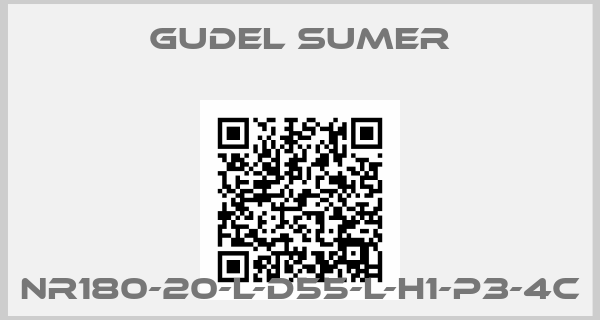 GUDEL SUMER-NR180-20-L-D55-L-H1-P3-4C