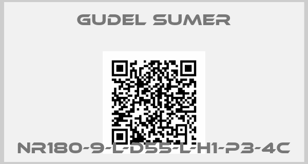 GUDEL SUMER-NR180-9-L-D55-L-H1-P3-4C