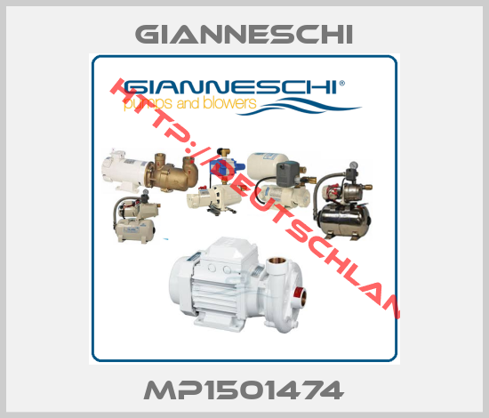 Gianneschi-MP1501474
