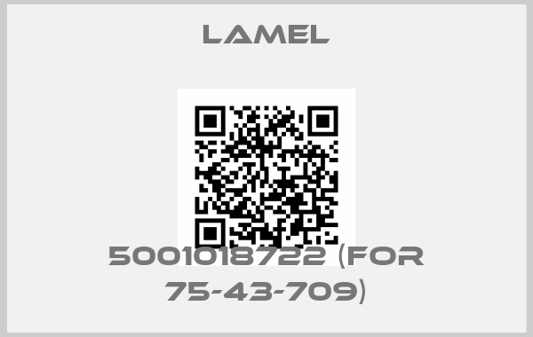 Lamel-5001018722 (for 75-43-709)