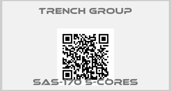 Trench Group-SAS-170 5-cores