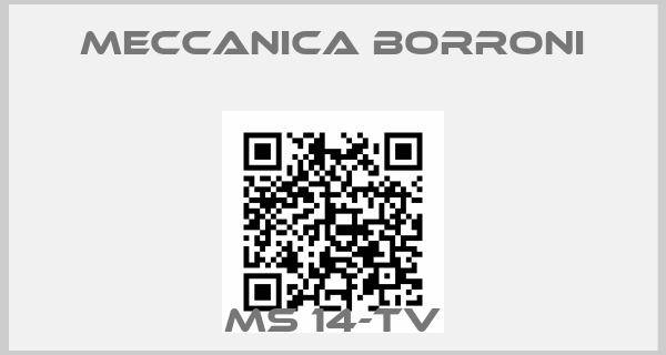 Meccanica Borroni-MS 14-TV