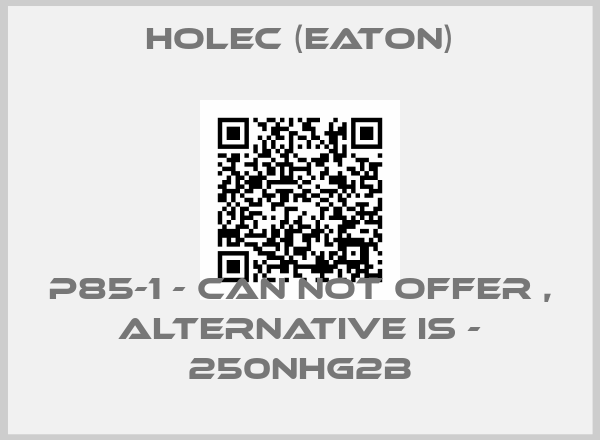 Holec (Eaton)-P85-1 - can not offer , alternative is - 250NHG2B