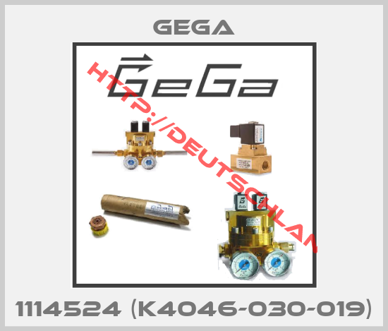 GEGA-1114524 (K4046-030-019)
