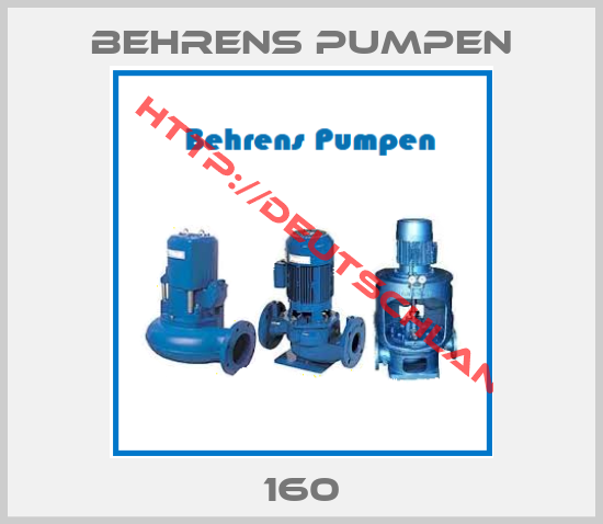 Behrens Pumpen-160