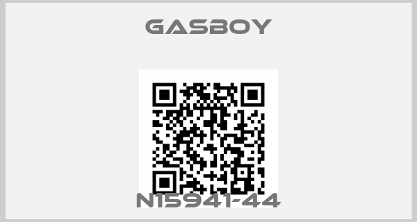 Gasboy-N15941-44