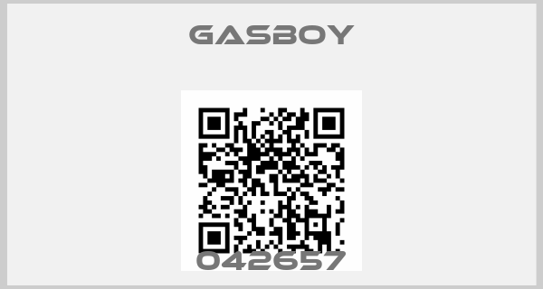 Gasboy-042657