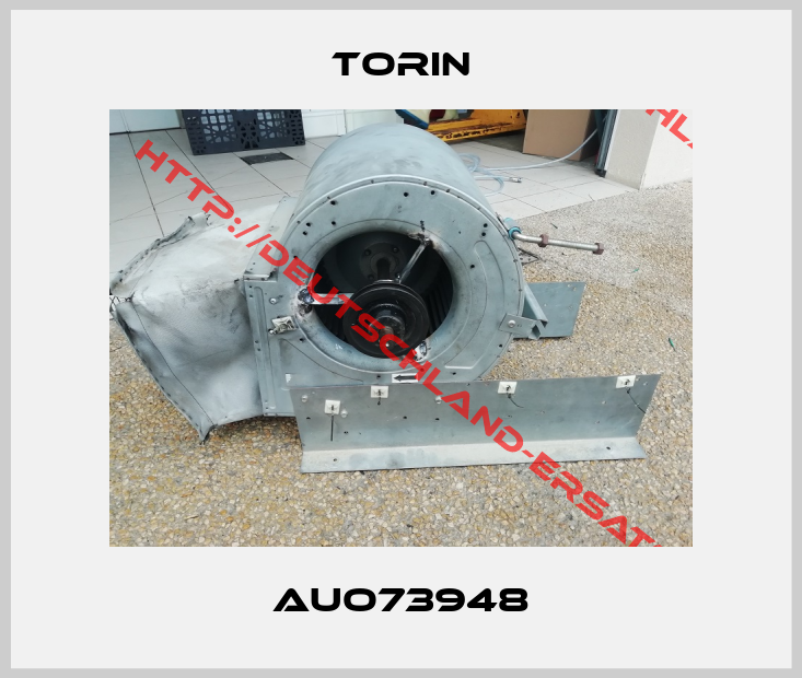 Torin-AUO73948