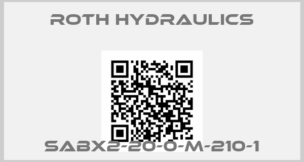 Roth Hydraulics-SABX2-20-0-M-210-1