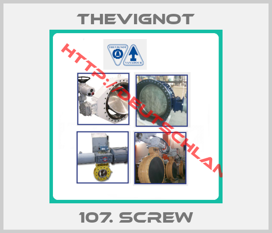 THEVIGNOT-107. SCREW