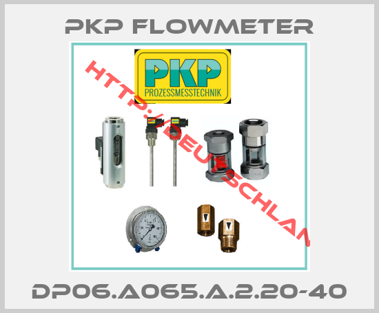 PKP Flowmeter-DP06.A065.A.2.20-40