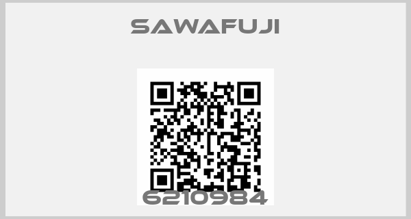 Sawafuji-6210984