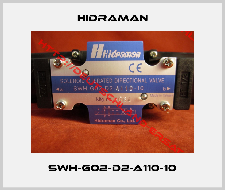 Hidraman-SWH-G02-D2-A110-10