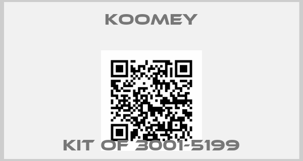 KOOMEY-KIT OF 3001-5199