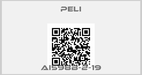 PELI-AI598B-2-19