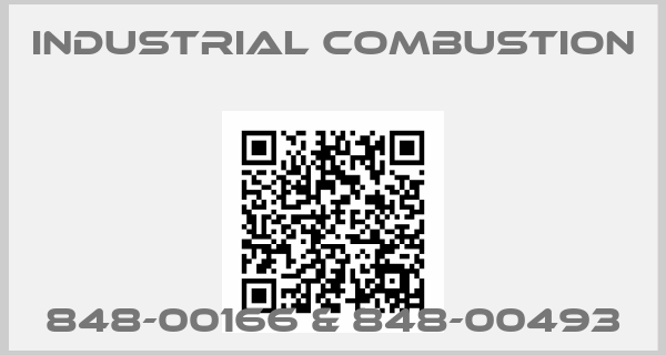 Industrial Combustion-848-00166 & 848-00493