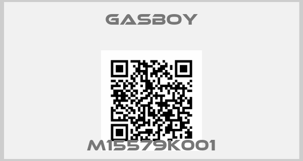 Gasboy-M15579K001