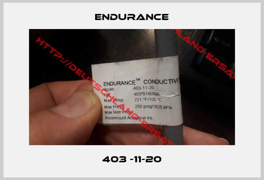 Endurance-403 -11-20