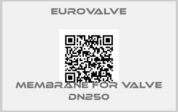 Eurovalve-membrane for valve DN250