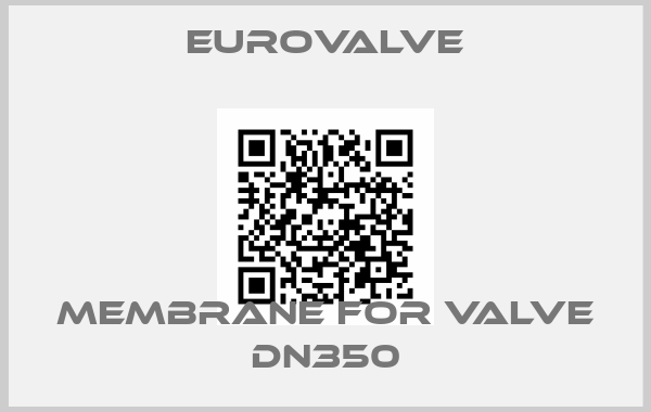 Eurovalve-membrane for valve DN350