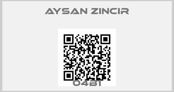 Aysan Zincir-04B1