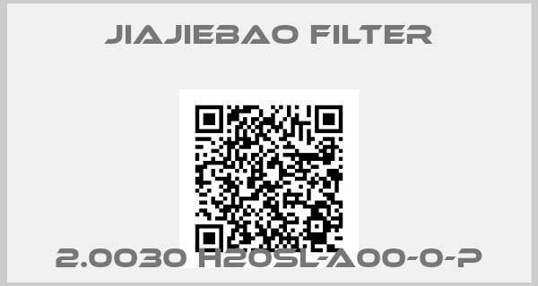 Jiajiebao Filter-2.0030 h20sl-a00-0-p