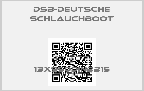 DSB-Deutsche Schlauchboot-13X950DIN2215