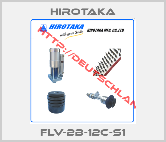 Hirotaka-FLV-2B-12C-S1