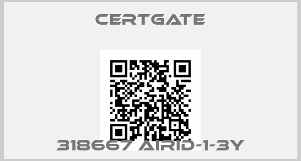Certgate-318667 AirID-1-3Y