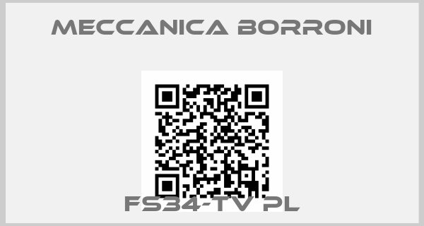 Meccanica Borroni-FS34-TV PL