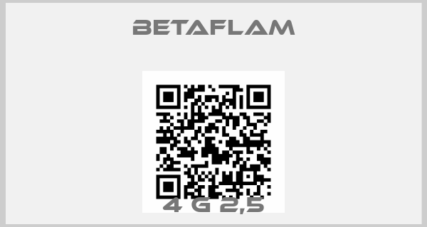 BETAFLAM-4 G 2,5