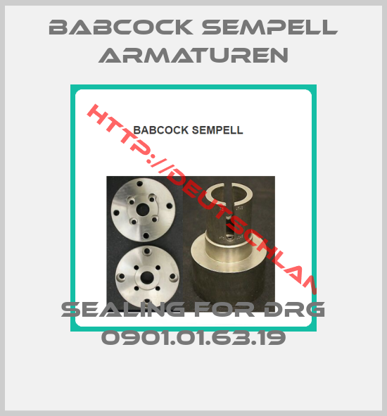 Babcock sempell Armaturen-SEALING for DRG 0901.01.63.19