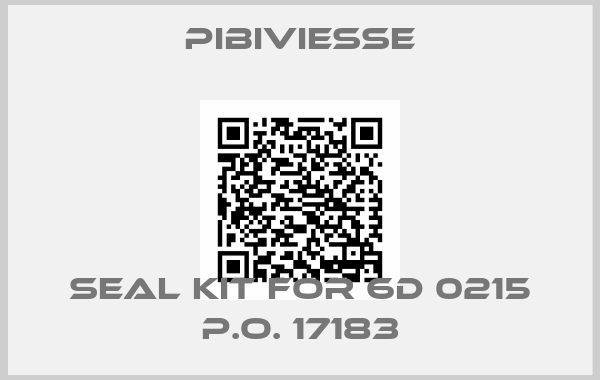 PIBIVIESSE-seal kit for 6D 0215 P.O. 17183