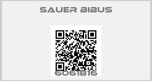 SAUER BIBUS-6061816