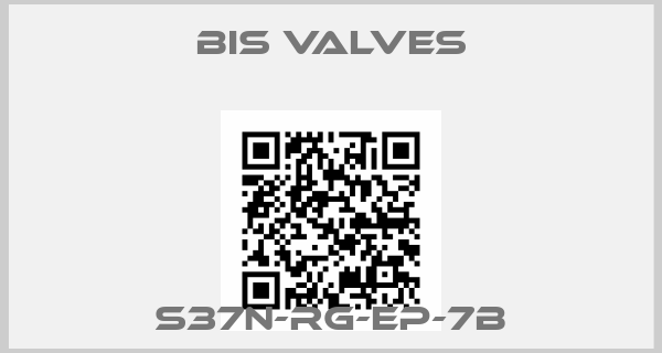 BiS Valves-S37N-RG-EP-7B