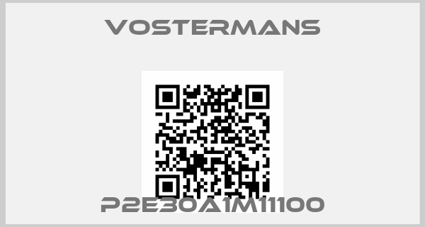 Vostermans-P2E30A1M11100