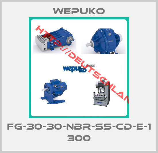 Wepuko-FG-30-30-NBR-SS-CD-E-1 300