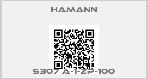 HAMANN-5307 A-1-ZP-100