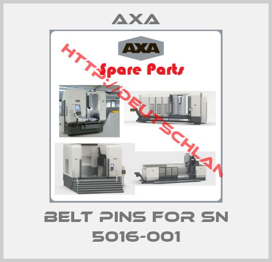 Axa-Belt pins for SN 5016-001