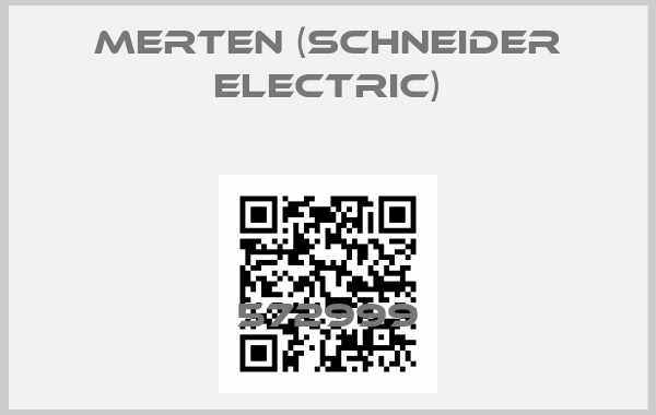 Merten (Schneider Electric)-572999