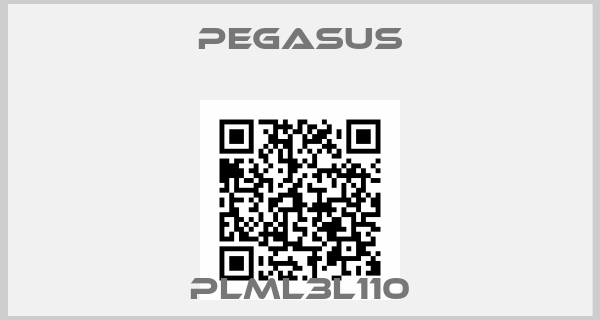 Pegasus-PLML3L110