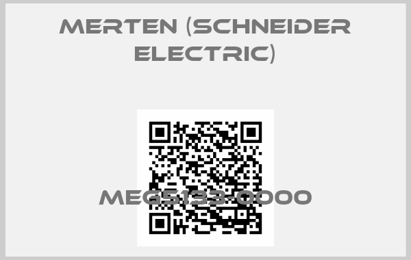 Merten (Schneider Electric)-MEG5133-0000