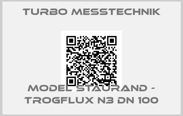 Turbo Messtechnik-Model STAURAND - TROGFLUX N3 DN 100