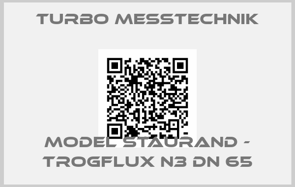 Turbo Messtechnik-Model STAURAND - TROGFLUX N3 DN 65