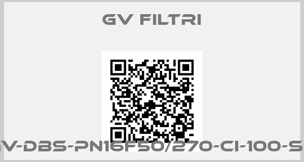 GV Filtri-GV-DBS-PN16F50/270-CI-100-SS